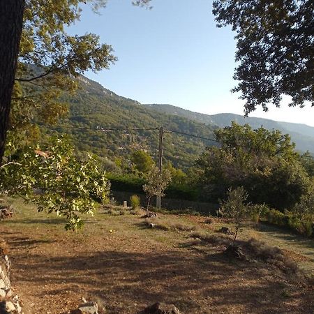 La Bergerie Villa Bargemon Luaran gambar