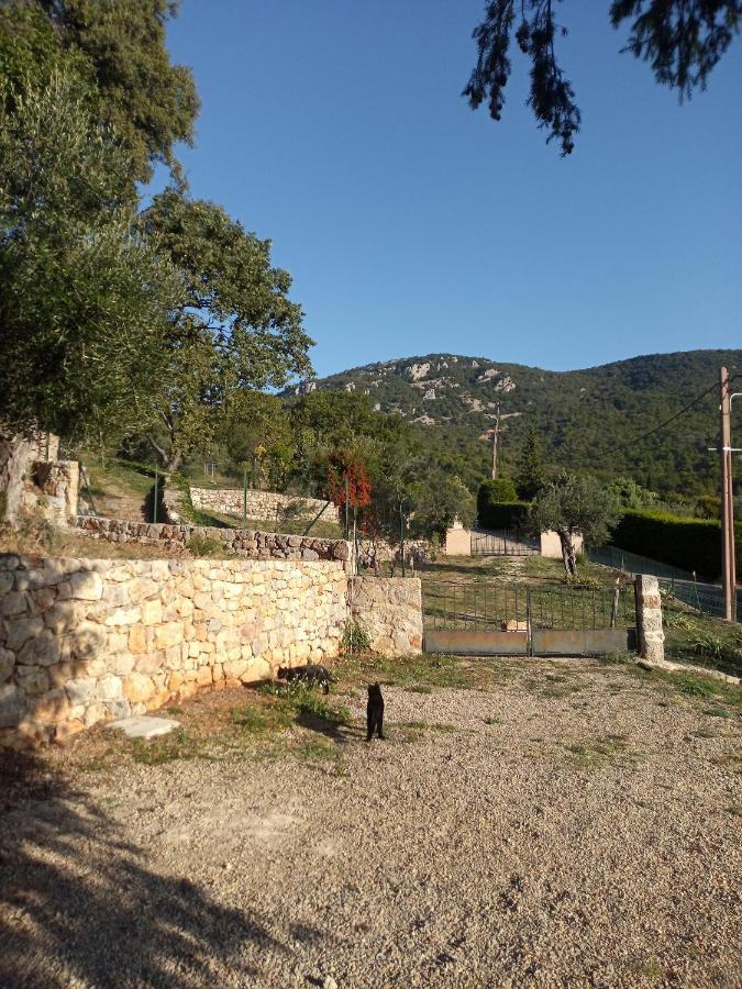 La Bergerie Villa Bargemon Luaran gambar